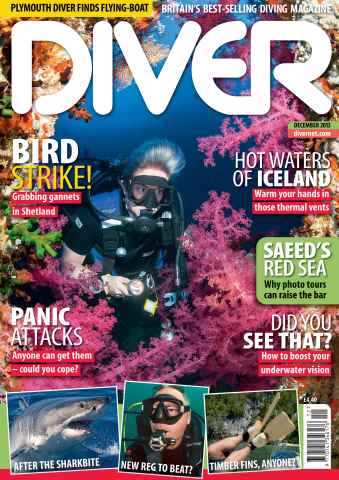 DIVER issue DECEMBER 2013