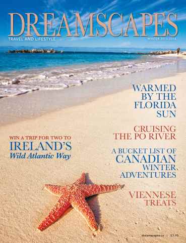 Dreamscapes issue Winter 2013-2014