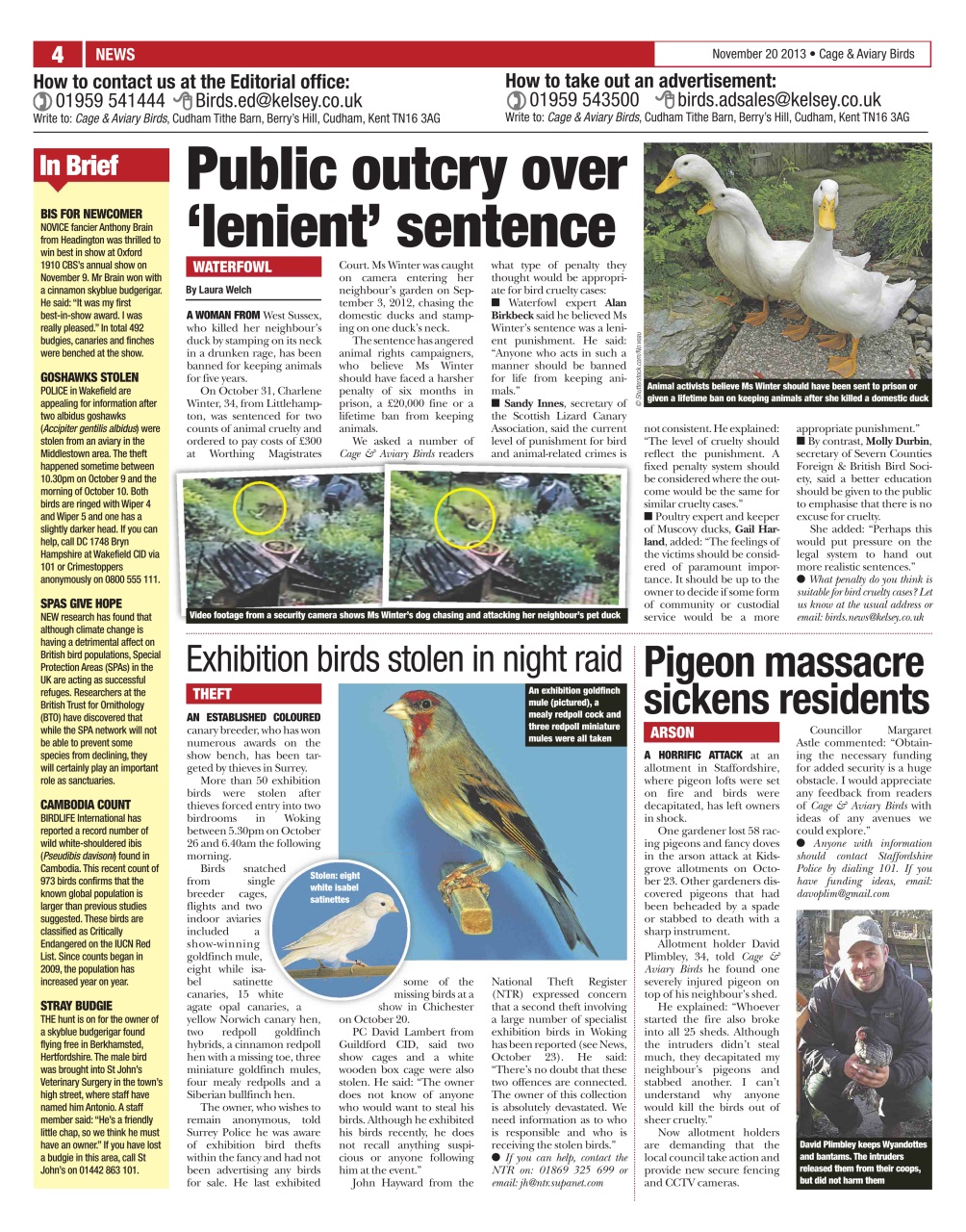 Cage & Aviary Birds Preview Pages