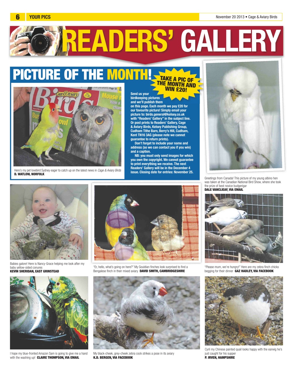 Cage & Aviary Birds Preview Pages