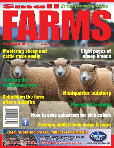 Small Farms issue December 2013