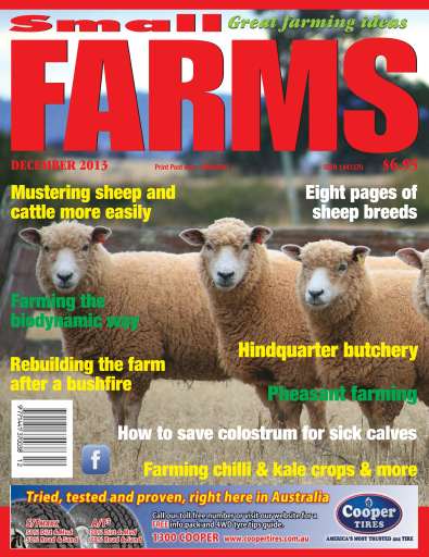 Small Farms issue 