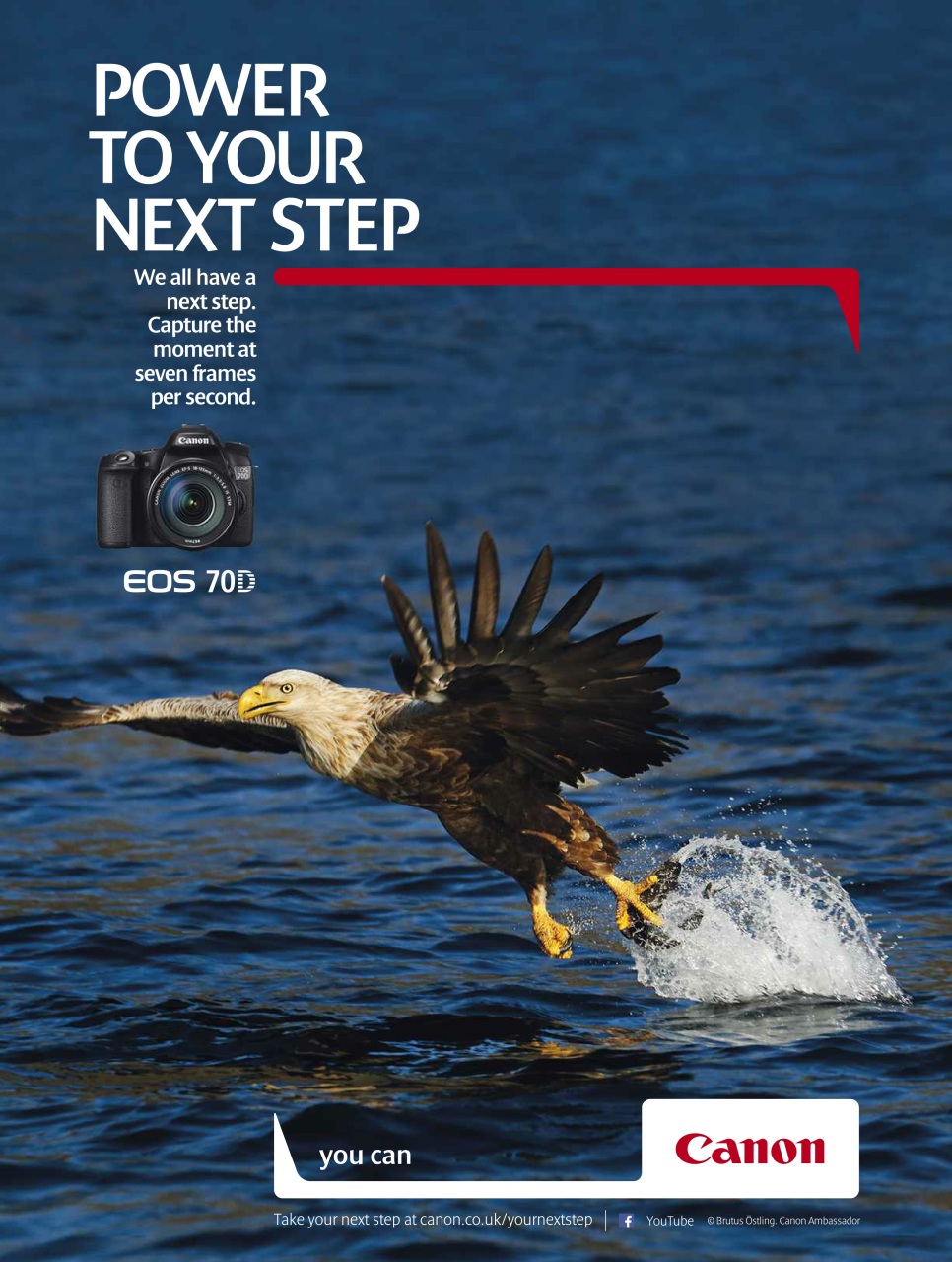 BBC Wildlife Magazine Preview Pages