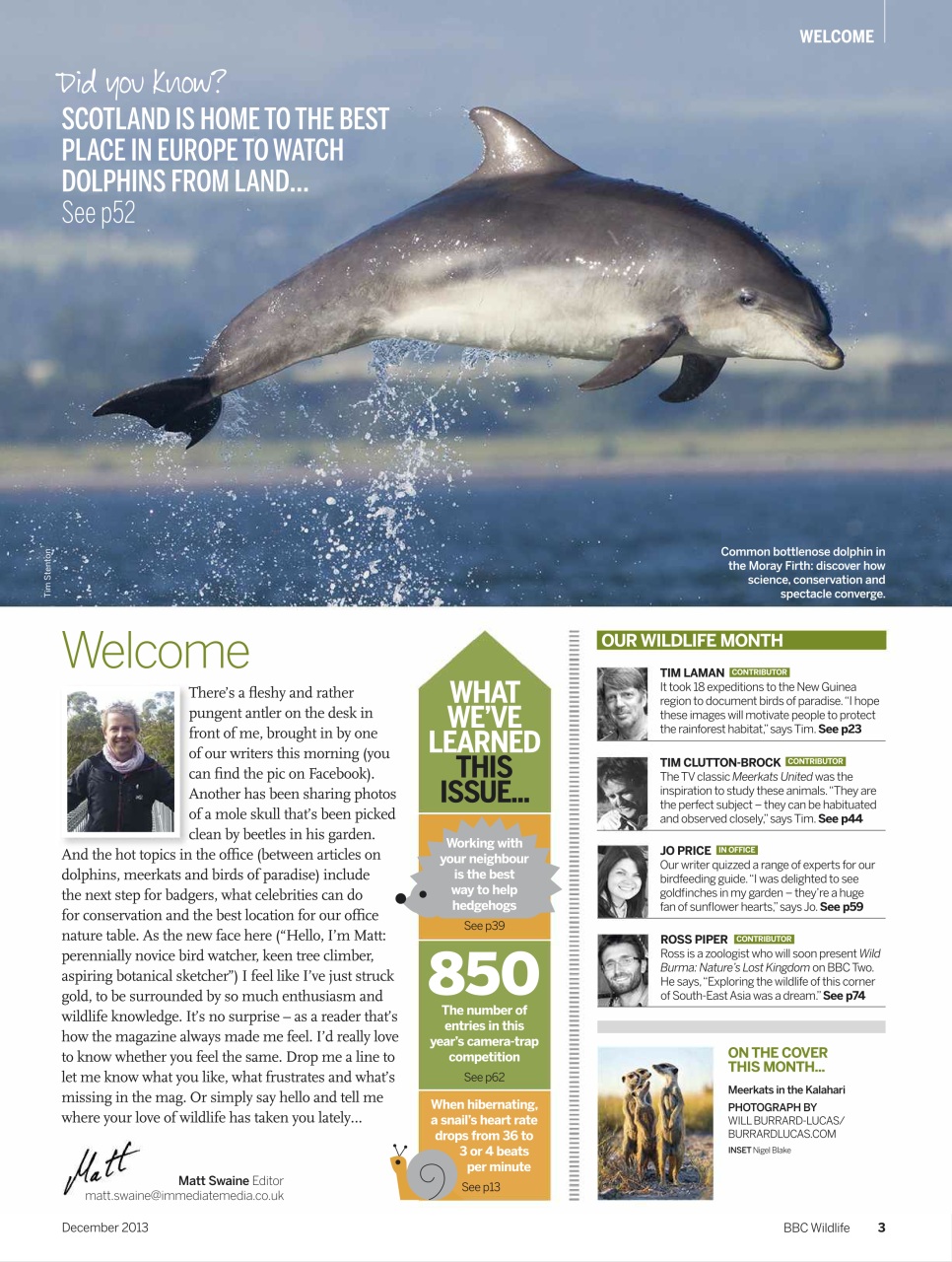 BBC Wildlife Magazine Preview Pages