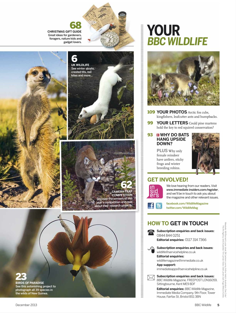 BBC Wildlife Magazine Preview Pages