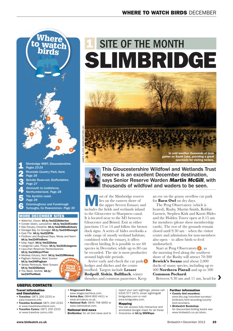 Birdwatch Magazine Preview Pages