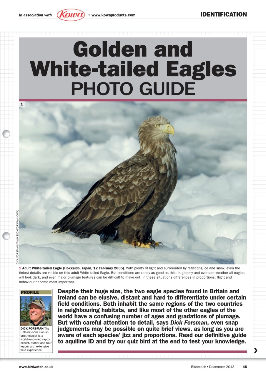 Birdwatch Magazine Preview Pages