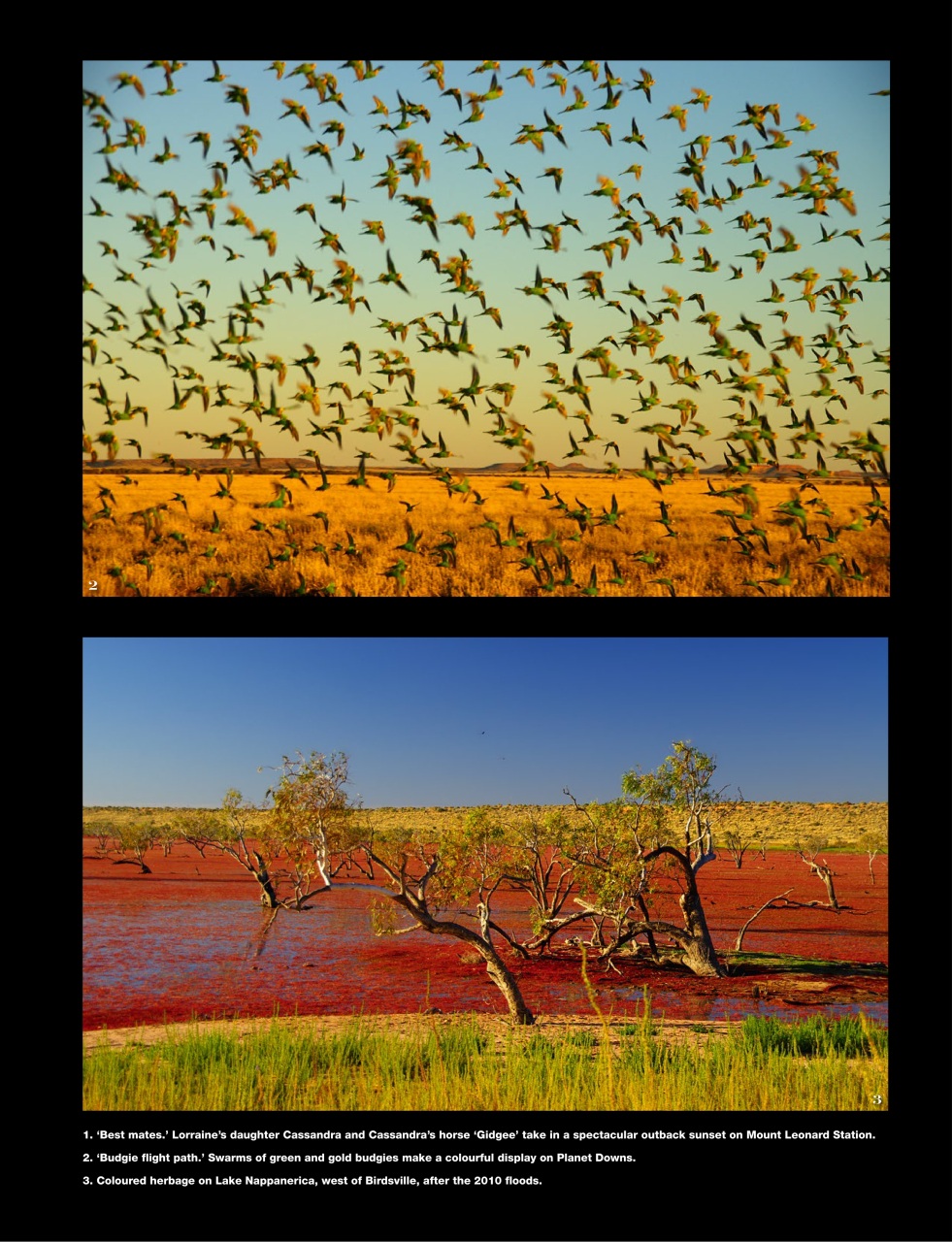 OUTBACK Magazine Preview Pages