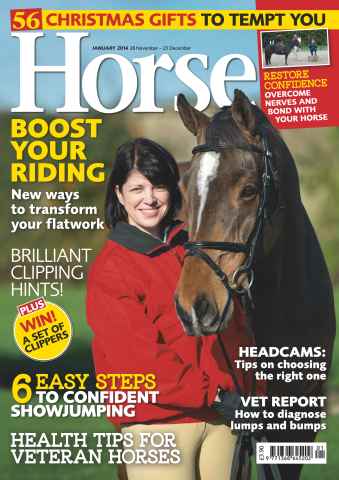 Horse issue January 2014