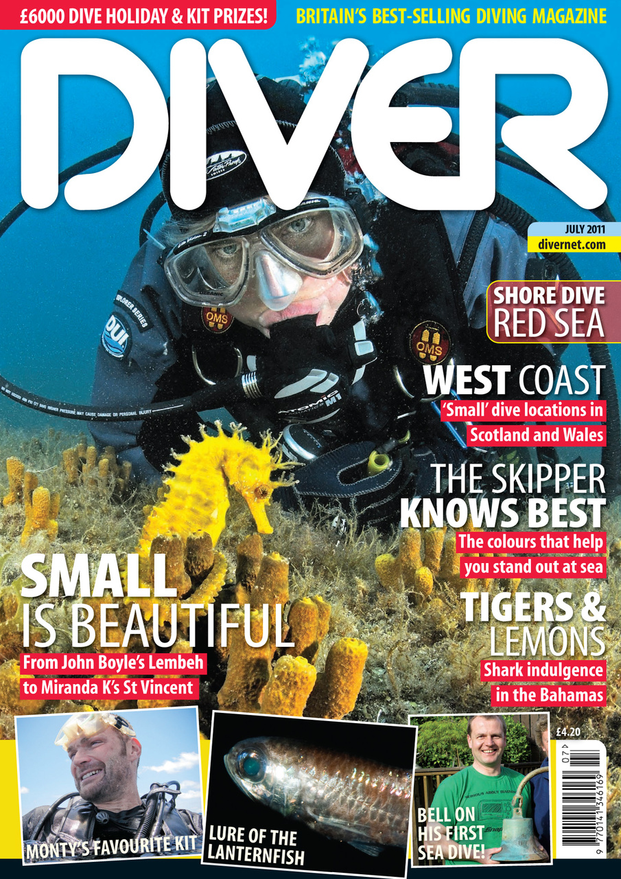 DIVER Preview Pages
