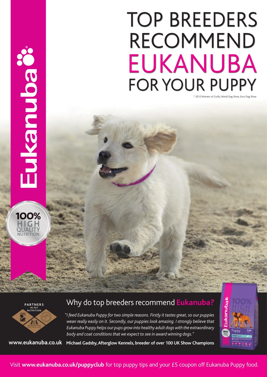 Dogs Monthly Preview Pages