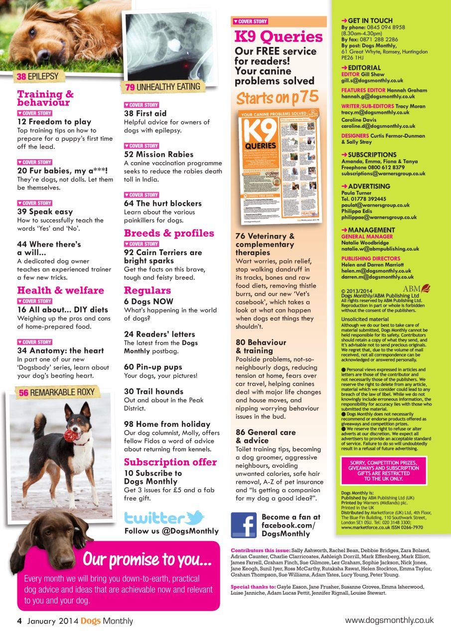 Dogs Monthly Preview Pages