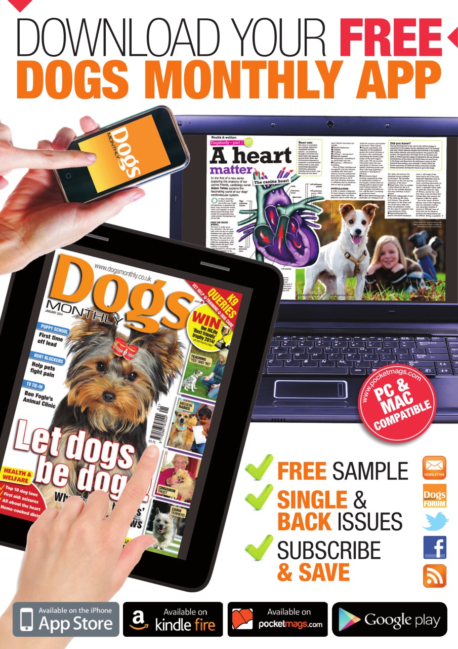 Dogs Monthly Preview Pages
