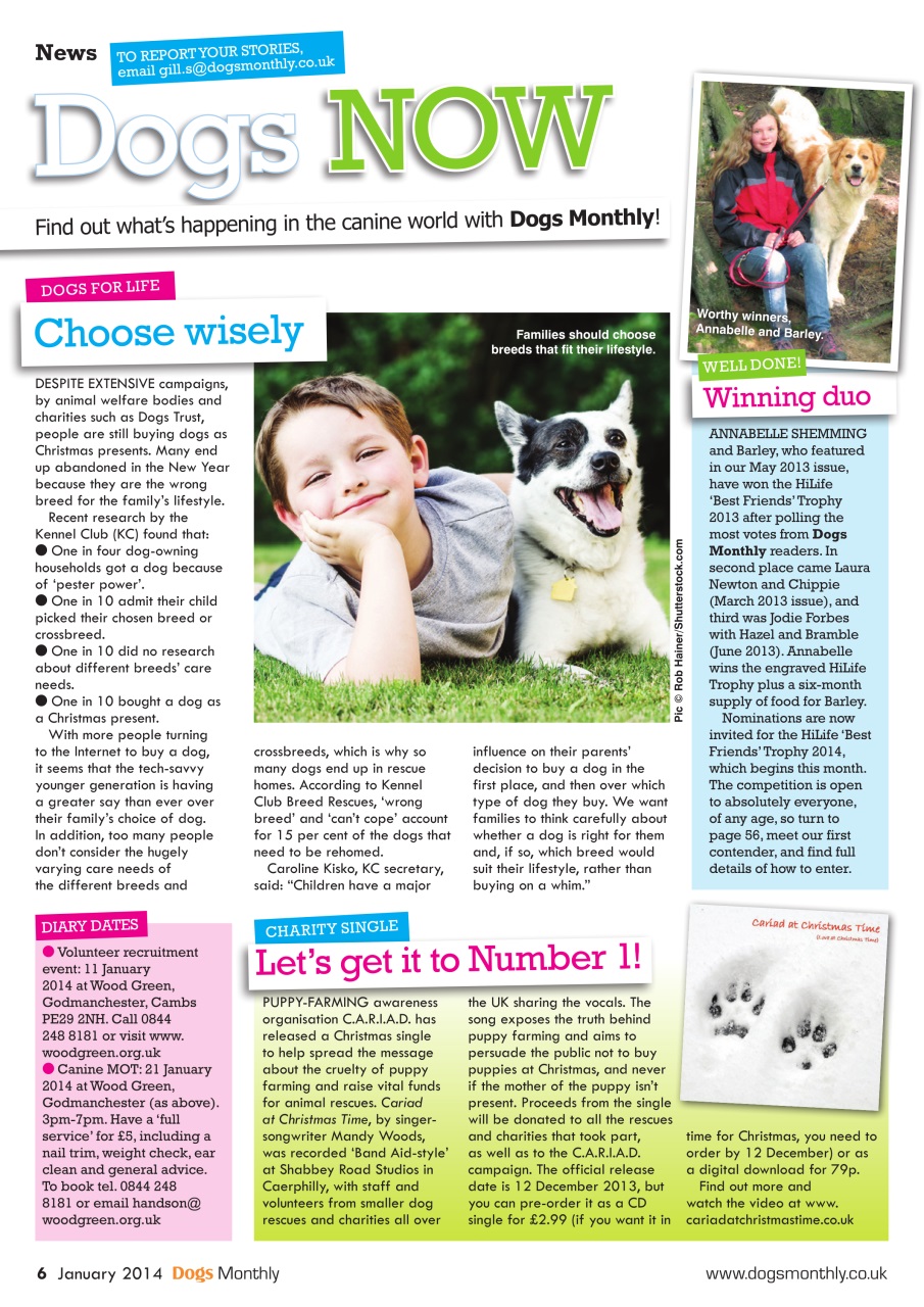 Dogs Monthly Preview Pages