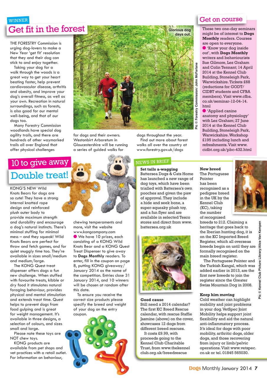 Dogs Monthly Preview Pages