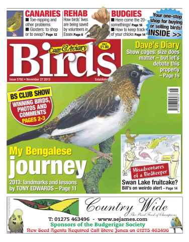 Cage & Aviary Birds issue No.5780 My Bengalese Journey