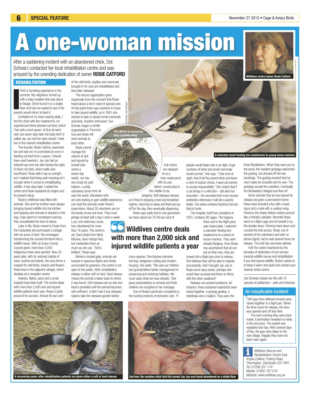 Cage & Aviary Birds Preview Pages