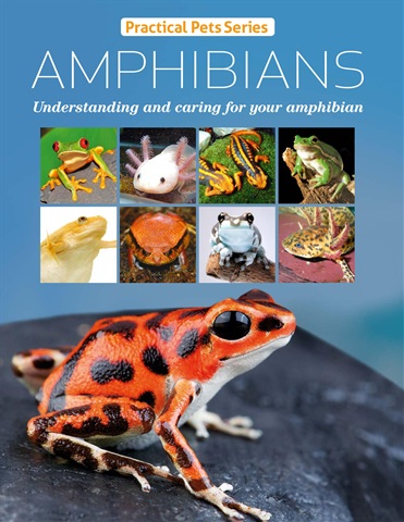 Practical Reptile Keeping issue Practical Pets Series:Amphibians