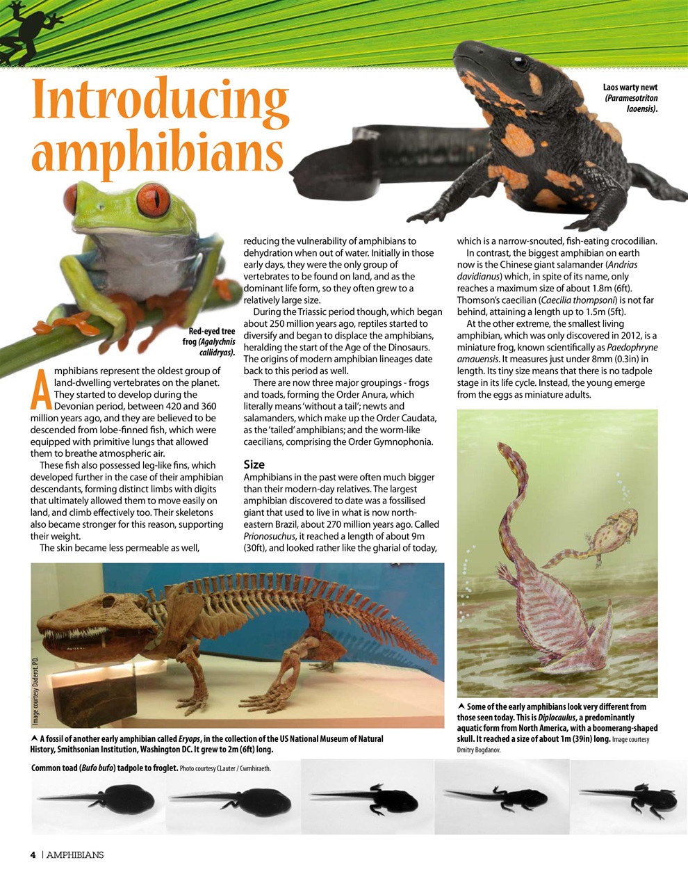Practical Reptile Keeping Preview Pages