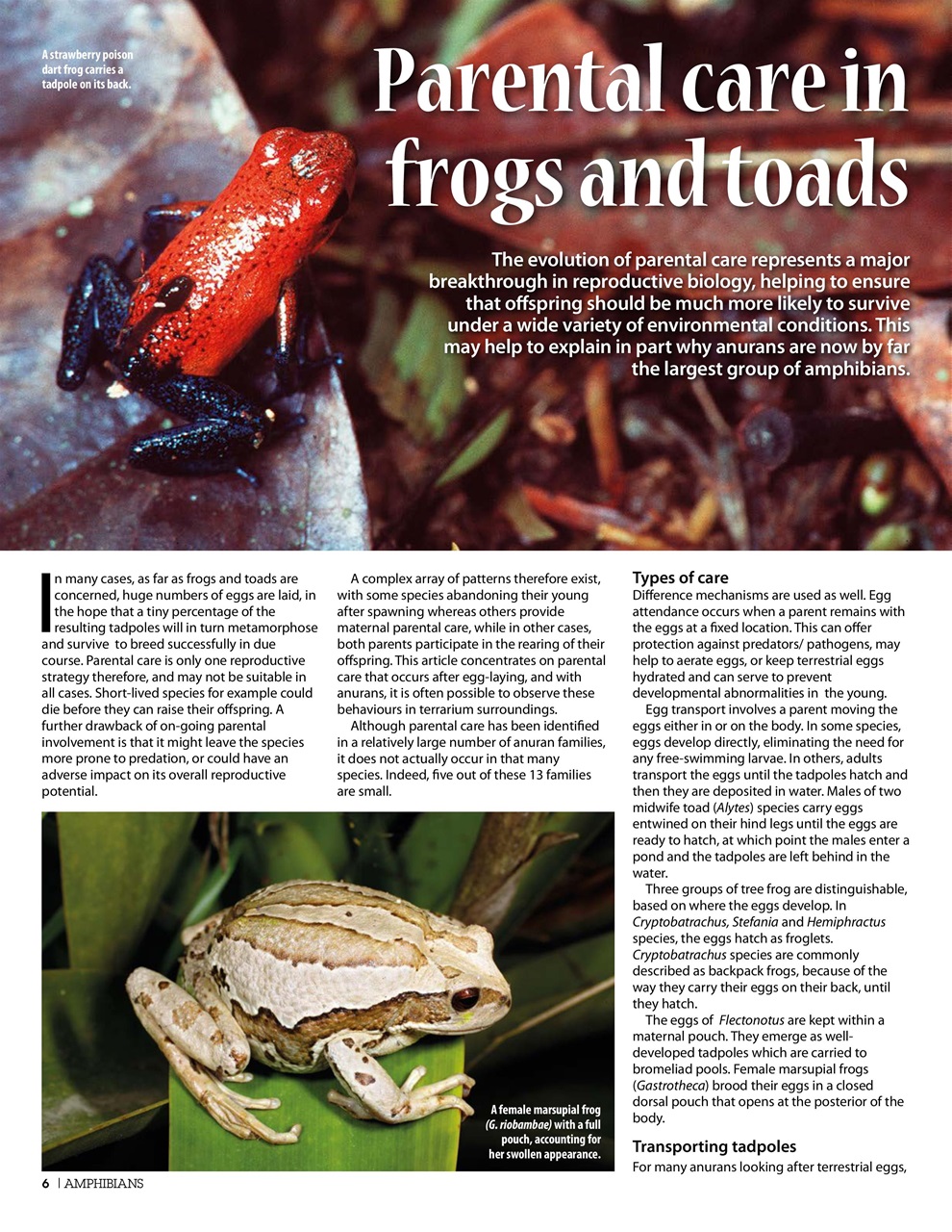 Practical Reptile Keeping Preview Pages