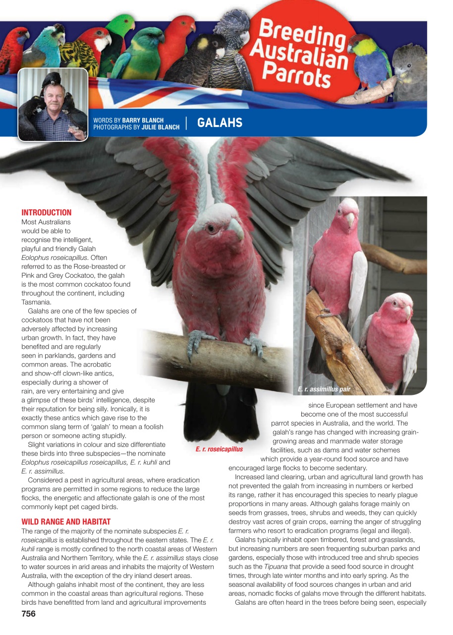 Australian Birdkeeper Magazine Preview Pages