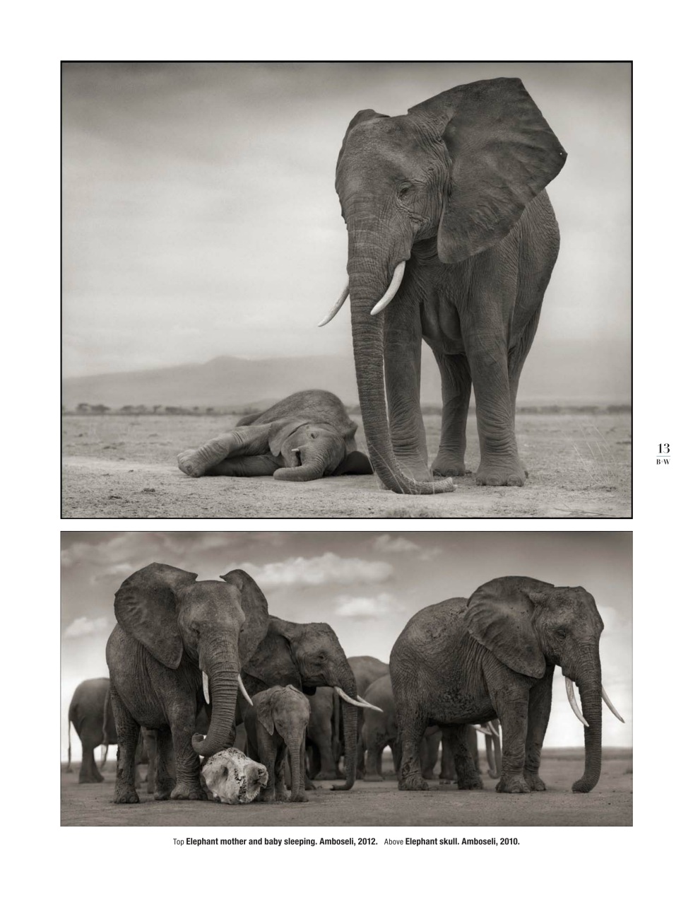 Black+White Photography Preview Pages