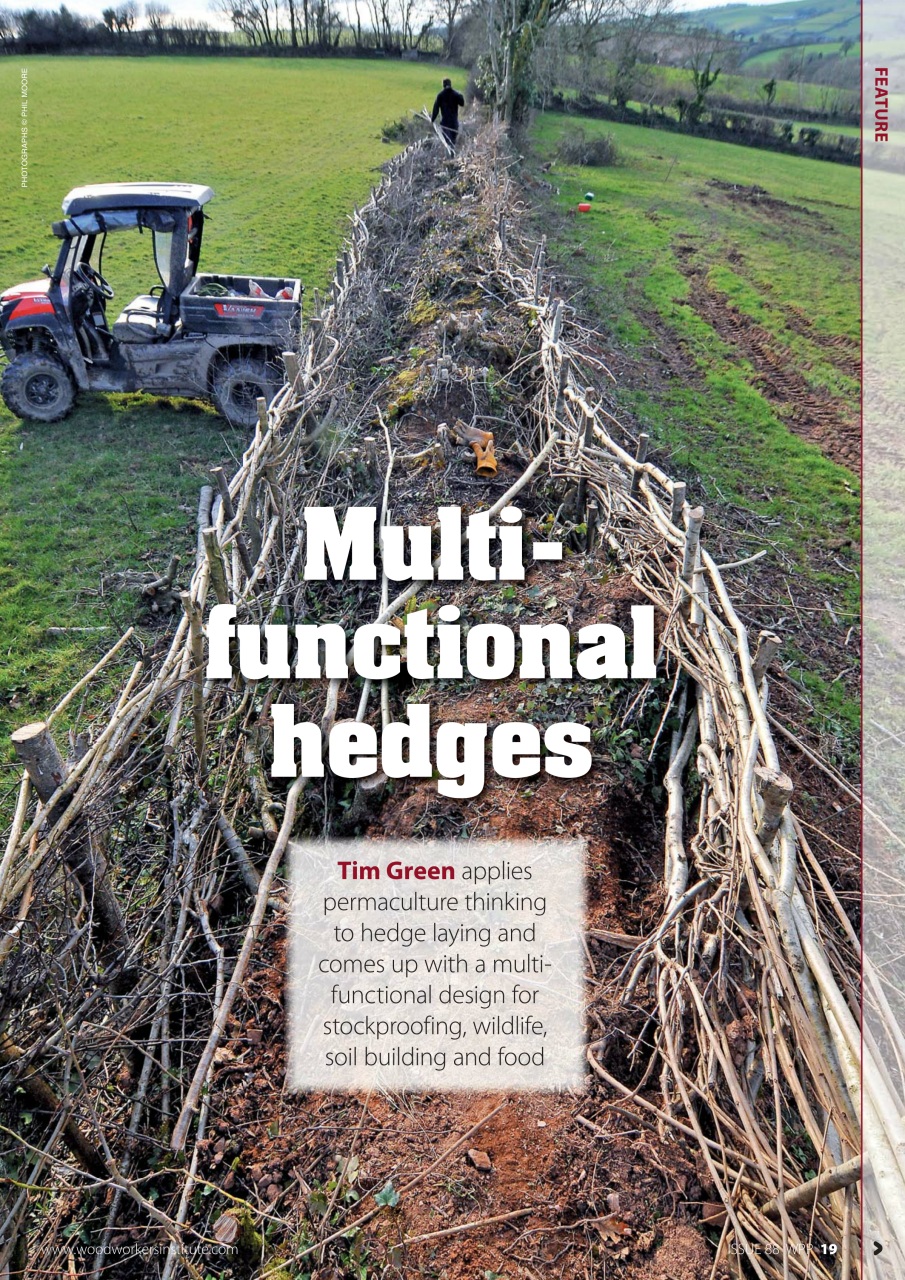 Woodworking Crafts Magazine Preview Pages