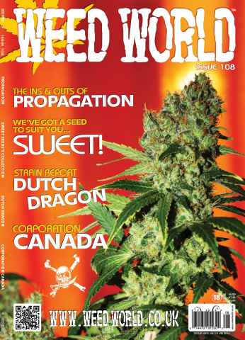 Weed World issue Issue 108