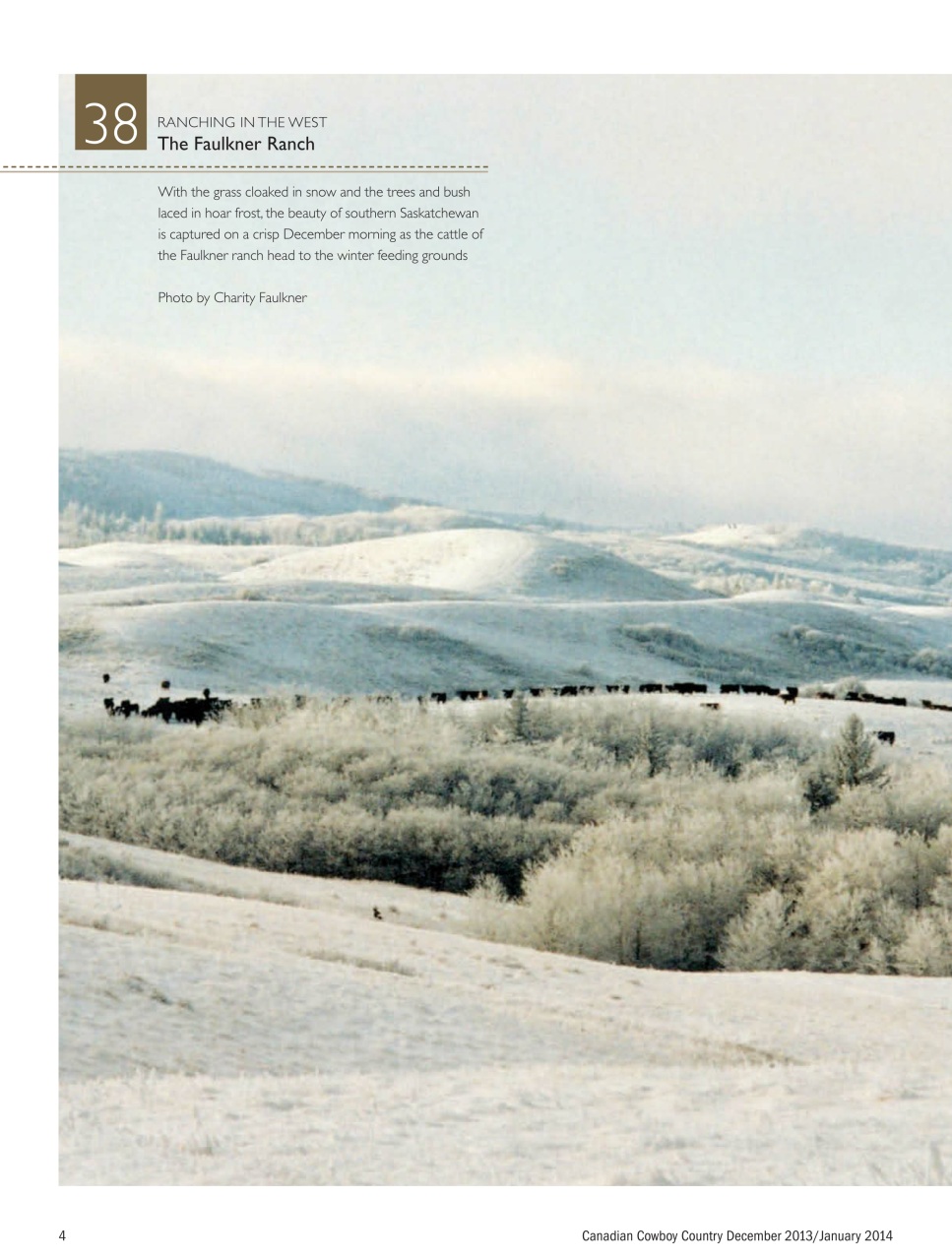 Canadian Cowboy Country Preview Pages