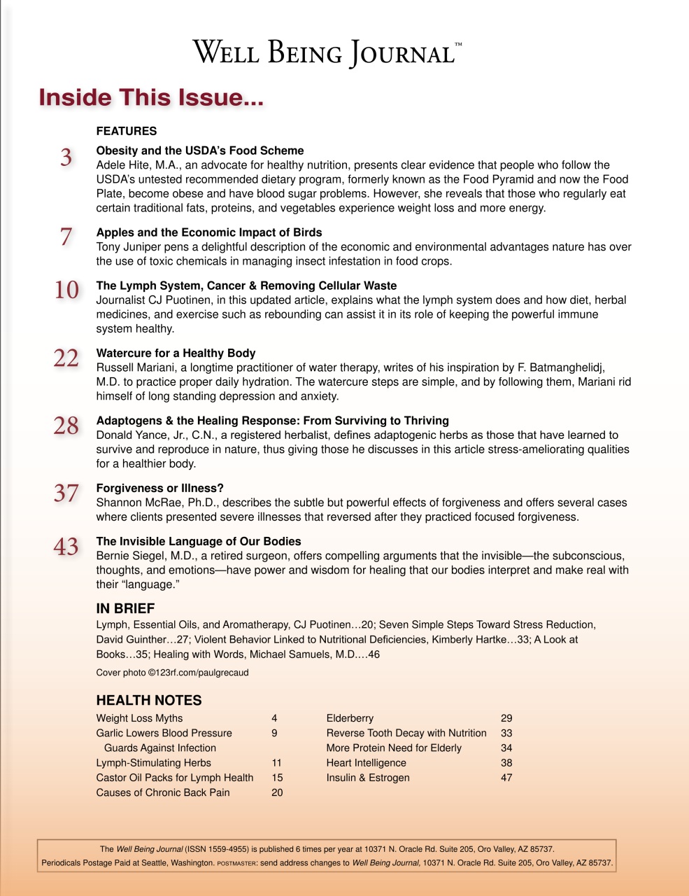 Well Being Journal Preview Pages