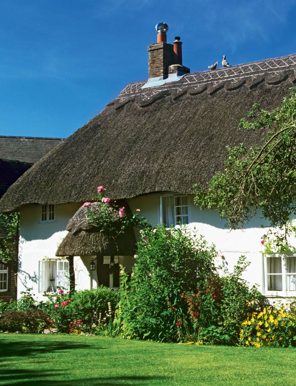 Britain Preview Pages