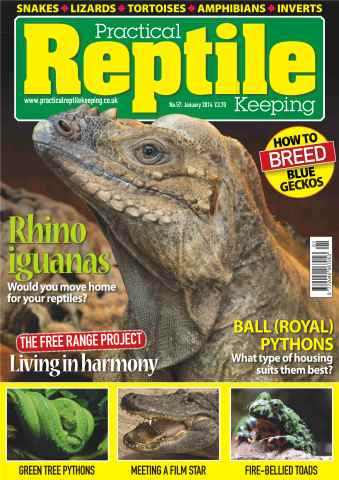 Practical Reptile Keeping issue No.57 Rhino iguanas