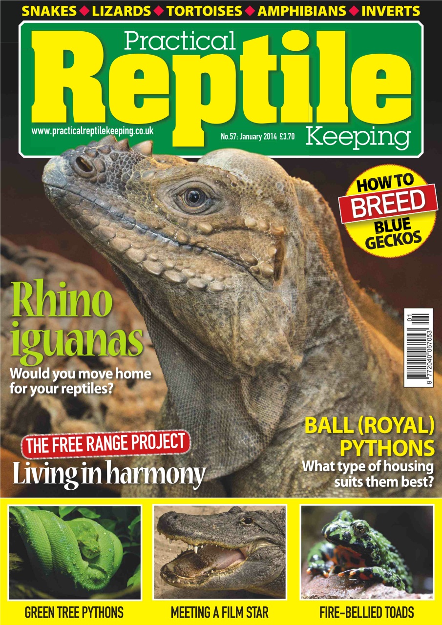 Practical Reptile Keeping Preview Pages