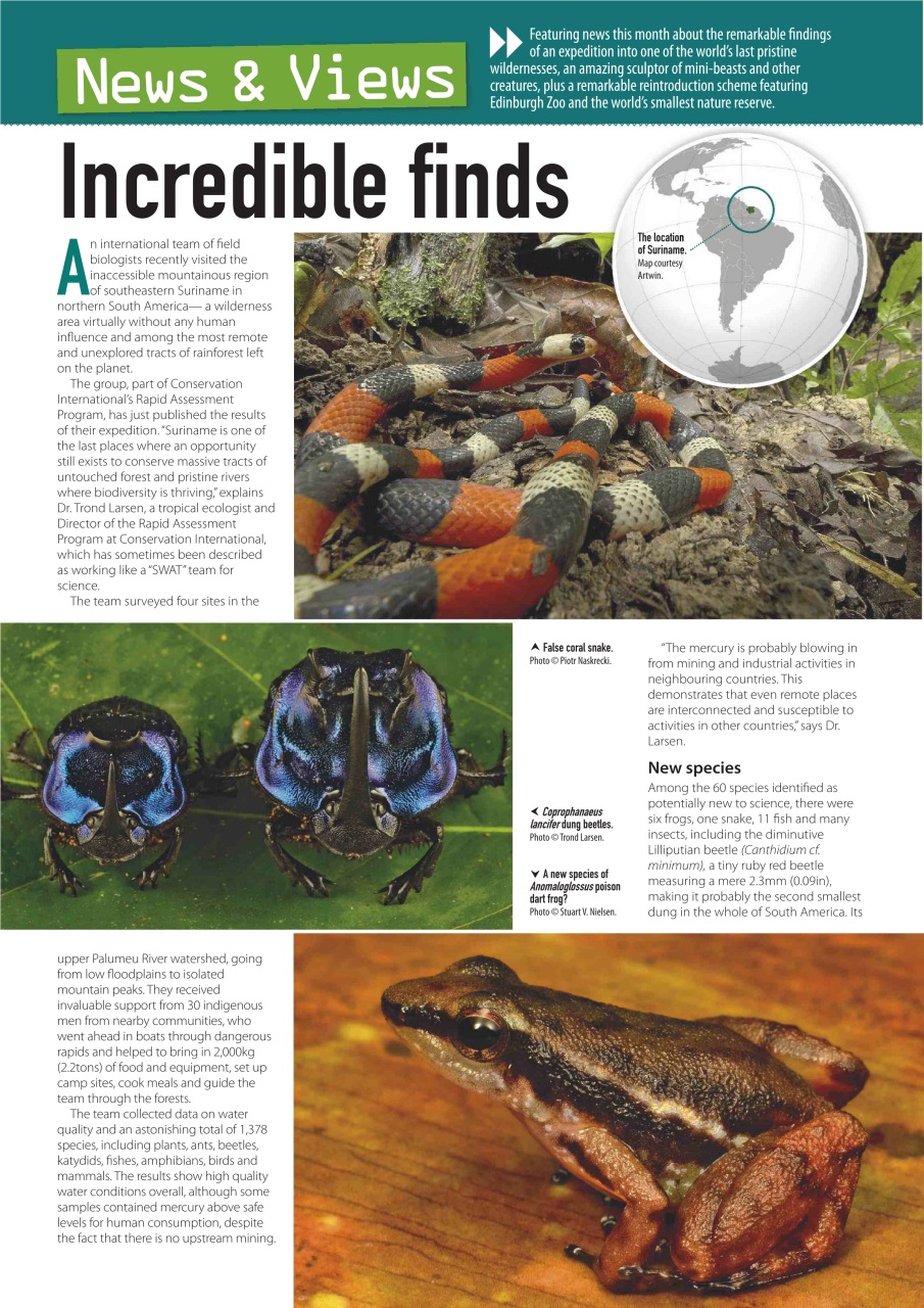 Practical Reptile Keeping Preview Pages