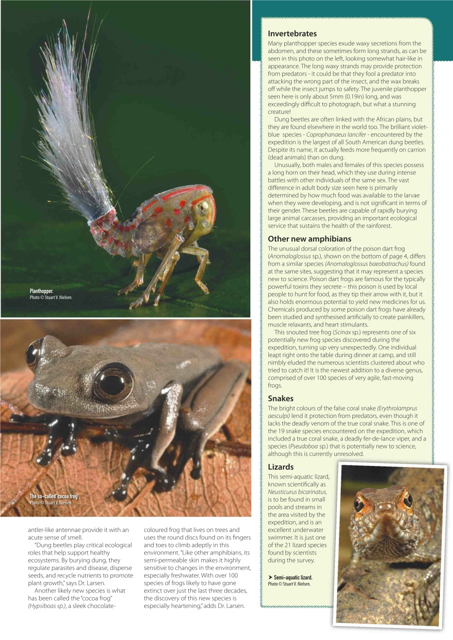 Practical Reptile Keeping Preview Pages