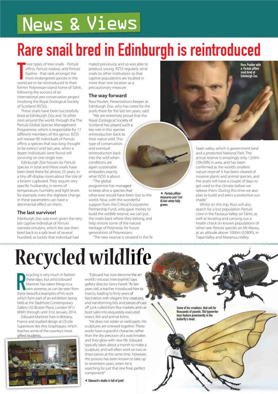 Practical Reptile Keeping Preview Pages