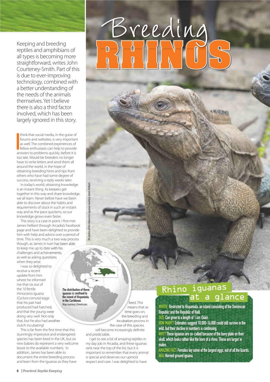 Practical Reptile Keeping Preview Pages