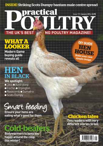 Practical Poultry issue No.119 Smart Feeding