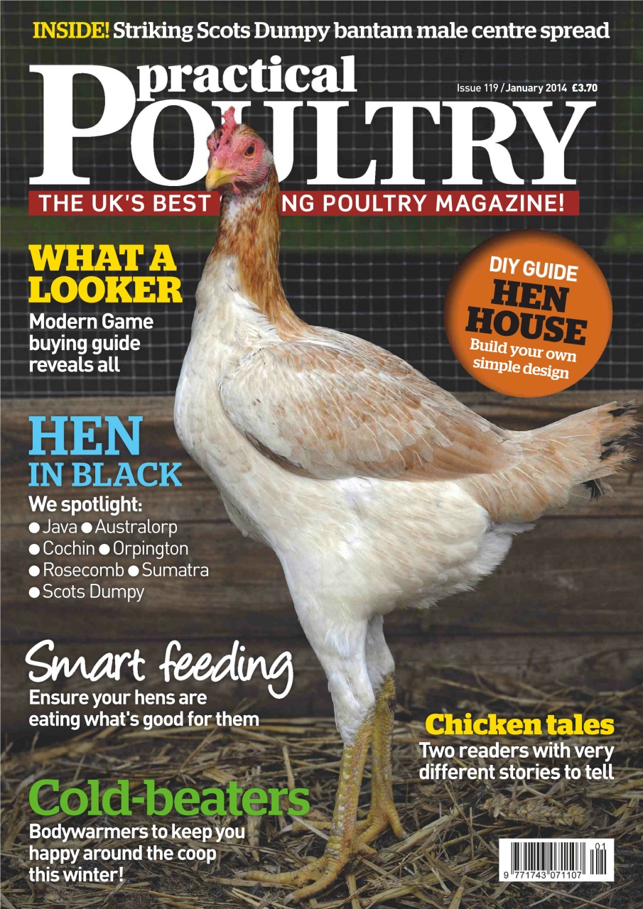 Practical Poultry Preview Pages