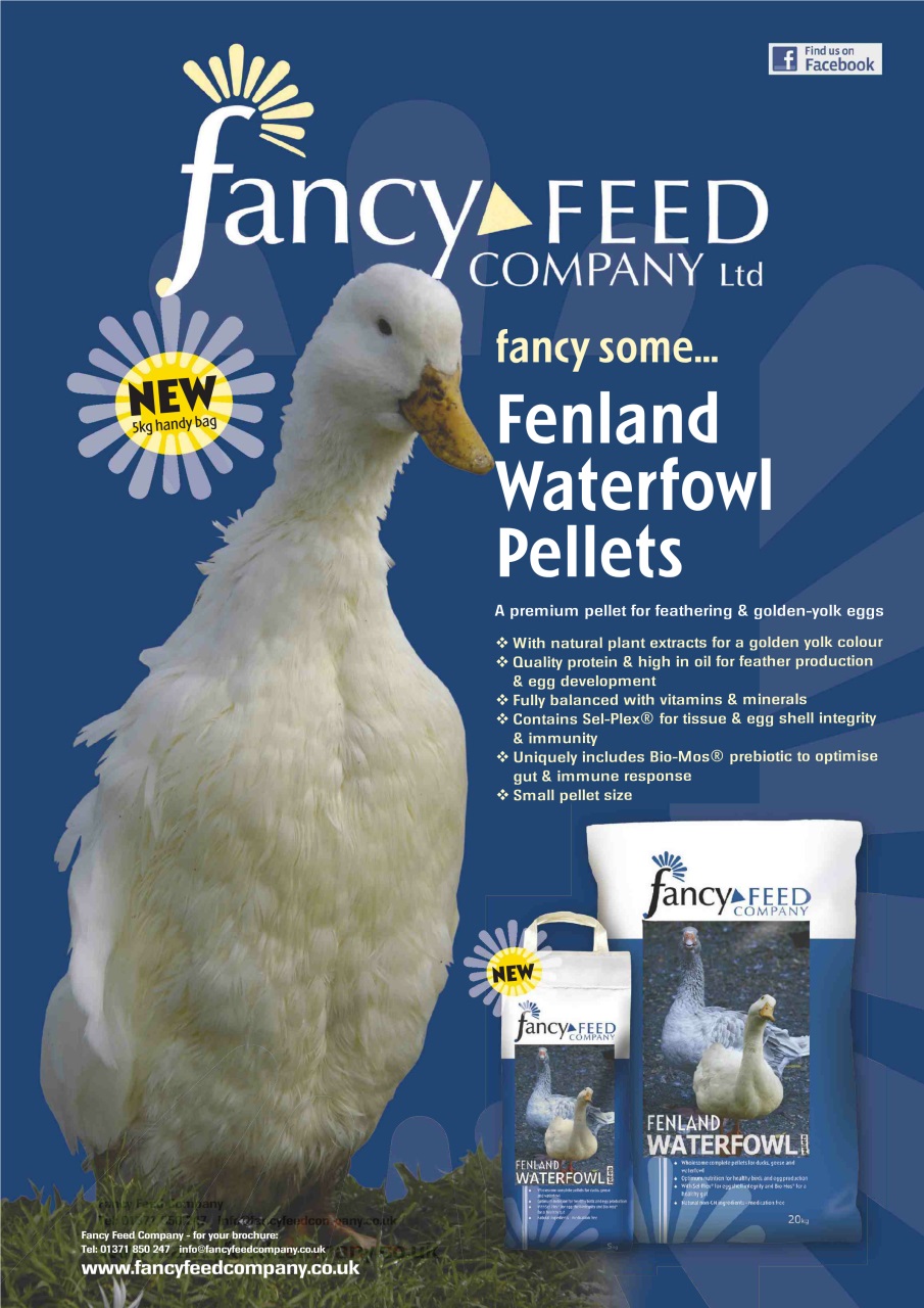 Practical Poultry Preview Pages