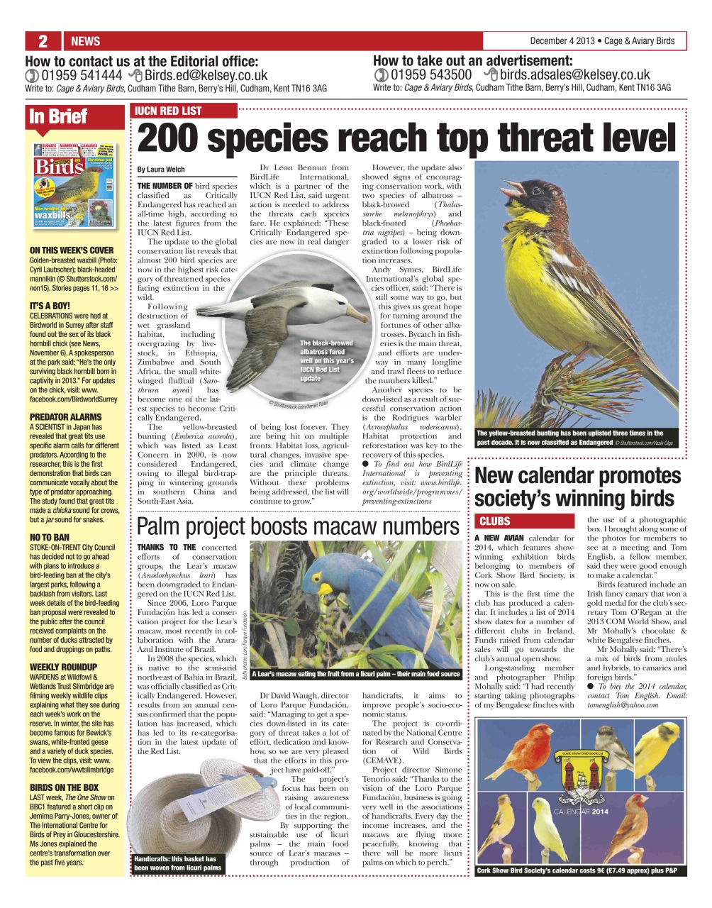 Cage & Aviary Birds Preview Pages