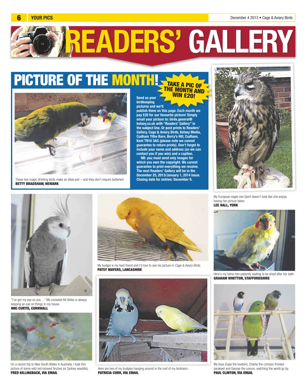 Cage & Aviary Birds Preview Pages