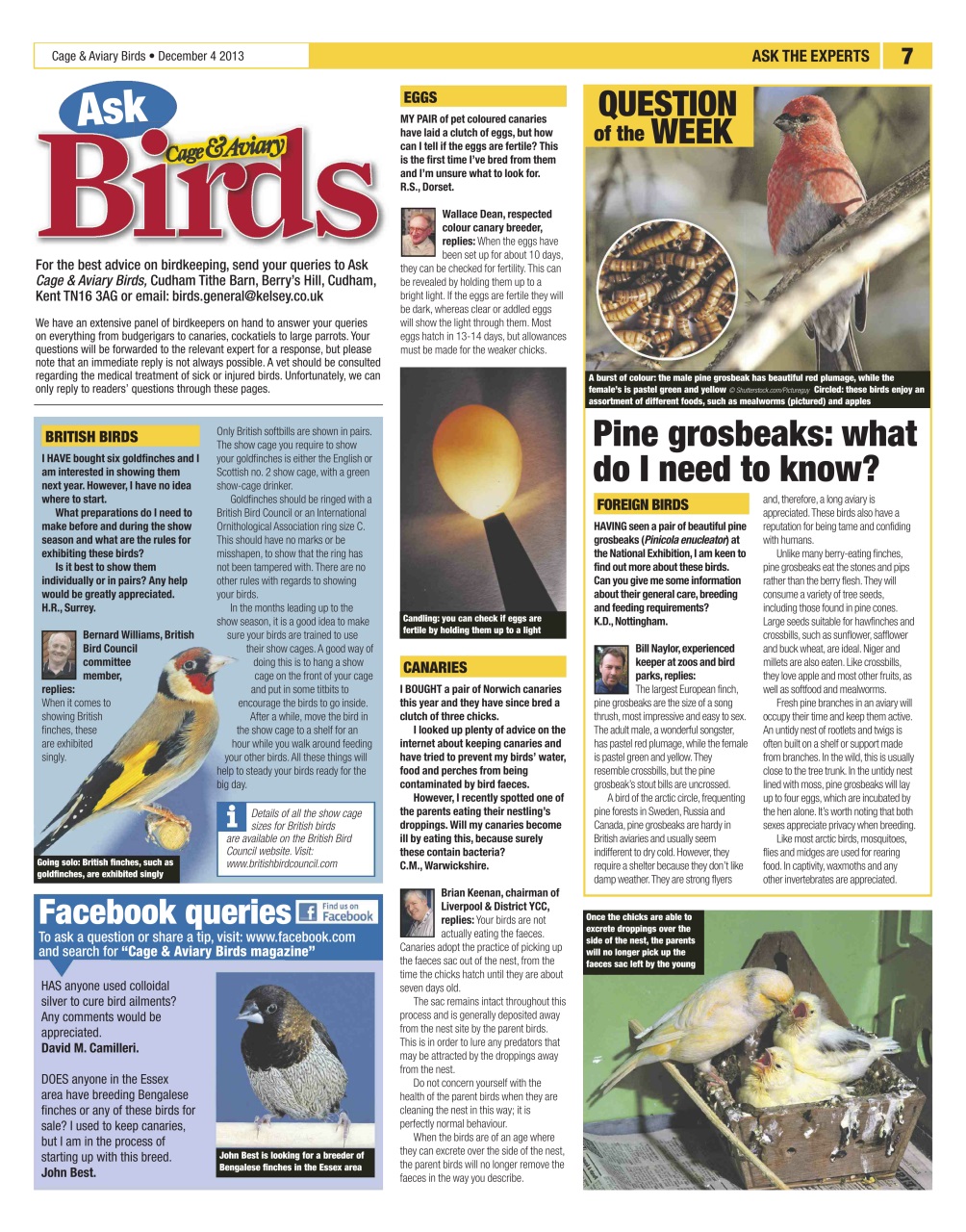 Cage & Aviary Birds Preview Pages