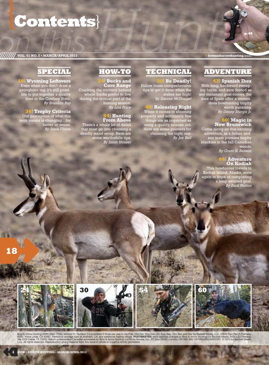 Bow & Arrow Hunting Preview Pages