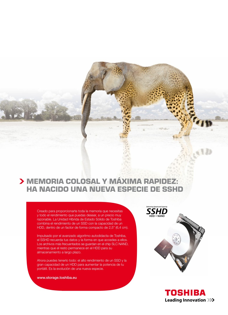 Computer Hoy Preview Pages