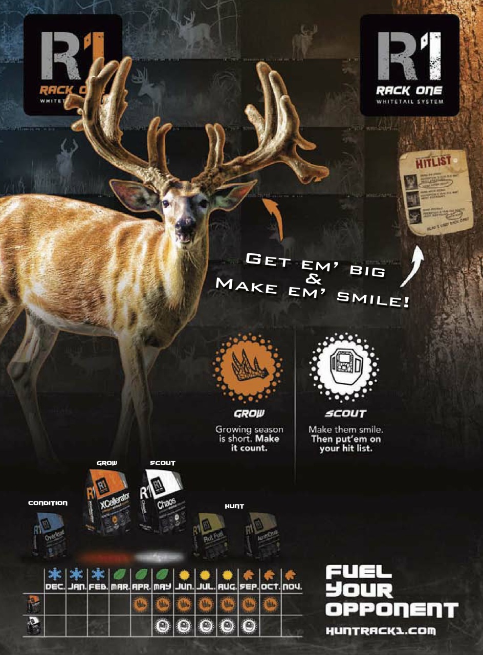 Bow & Arrow Hunting Preview Pages