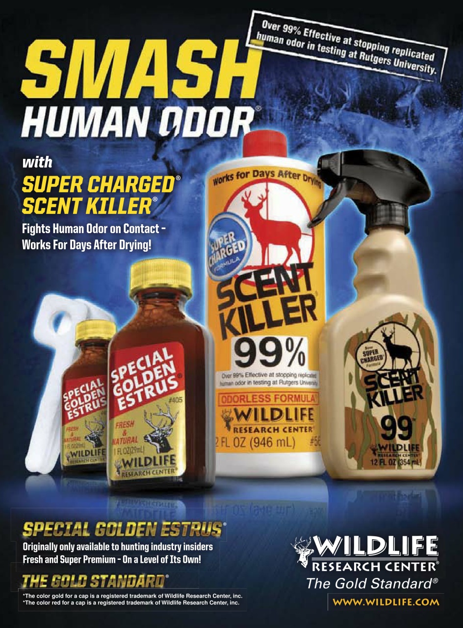 Bow & Arrow Hunting Preview Pages