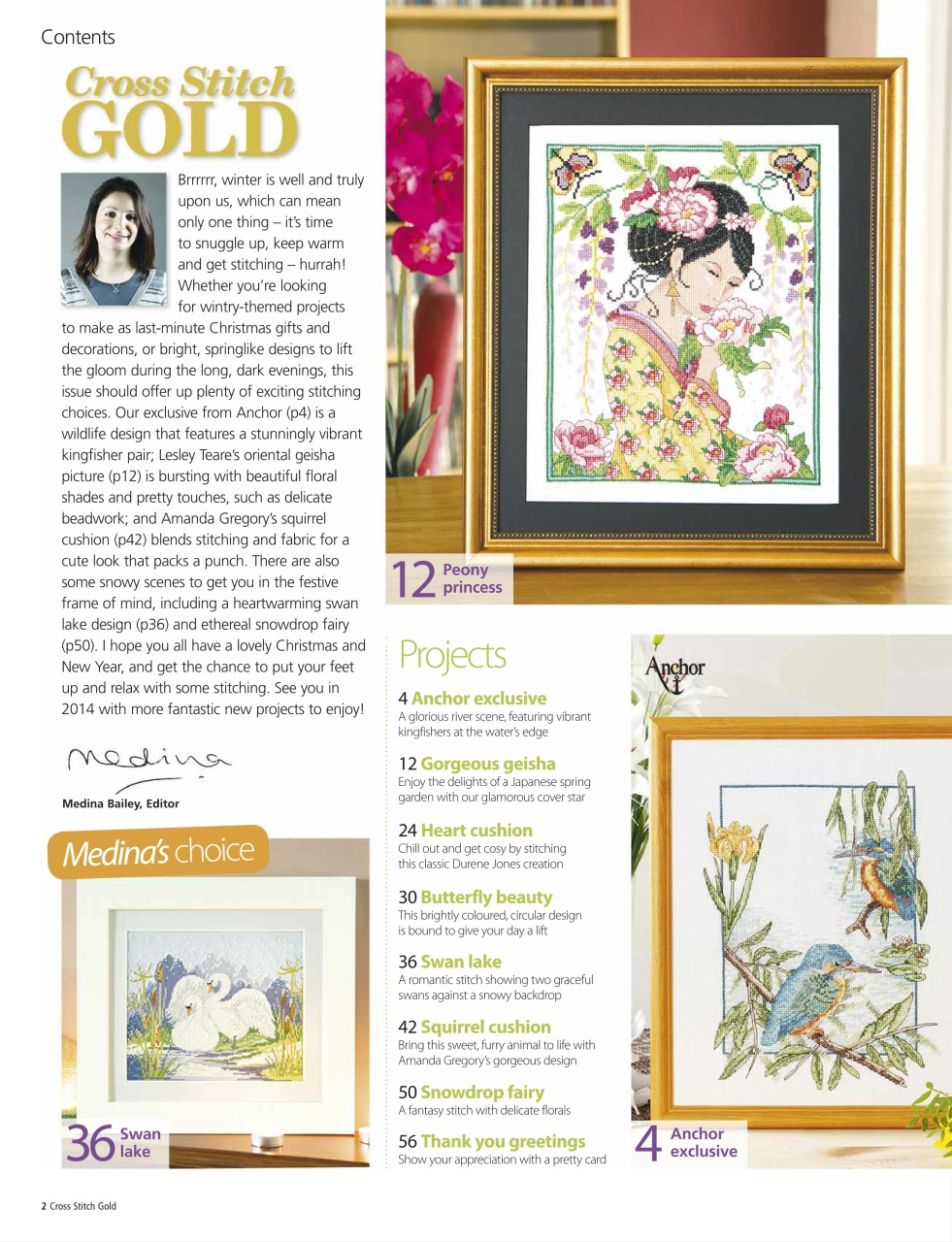 Cross Stitch Gold Preview Pages