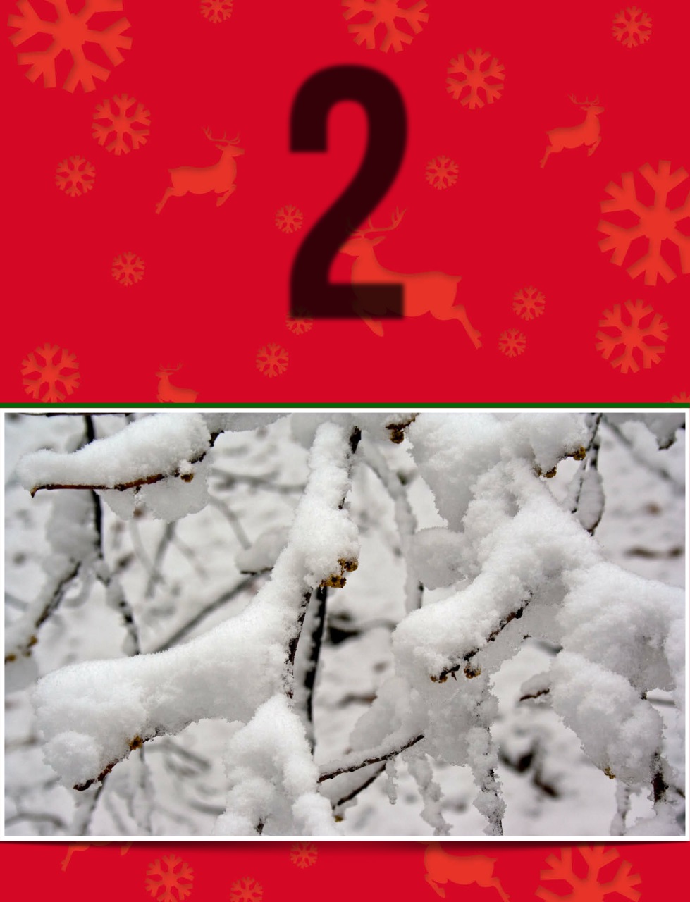 Go Florida Magazine Preview Pages