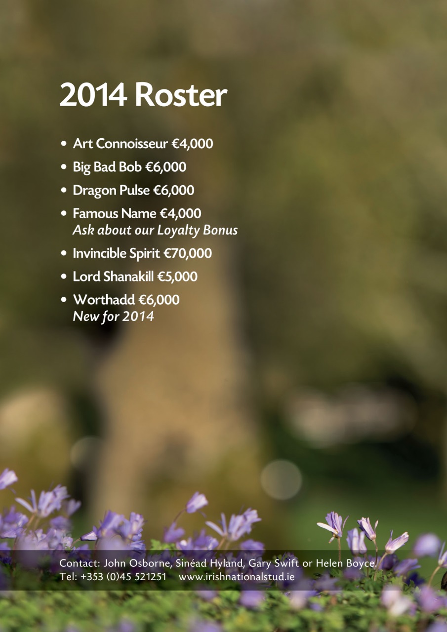 The Owner Breeder Preview Pages